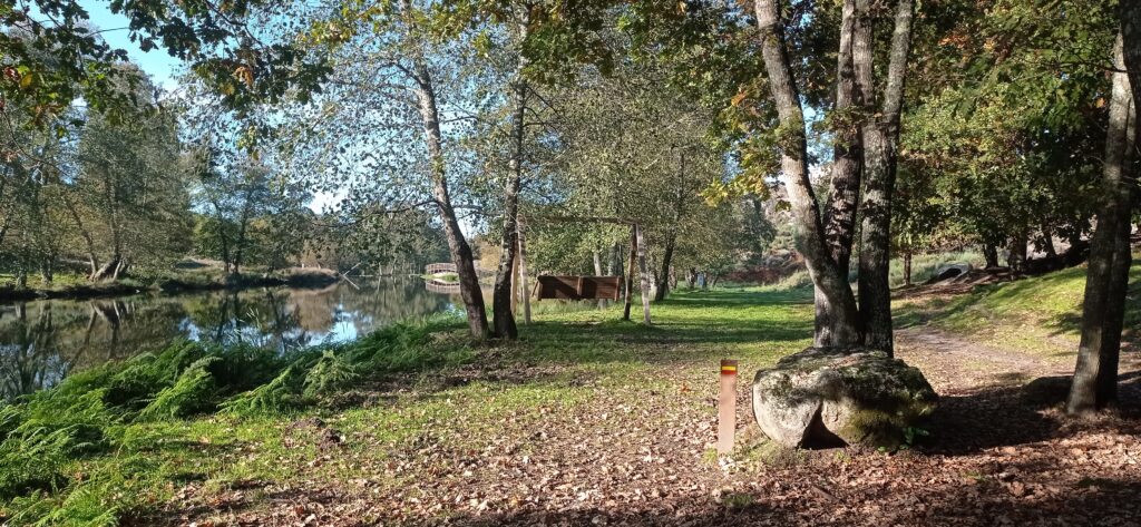 img 20251127 092338(1)