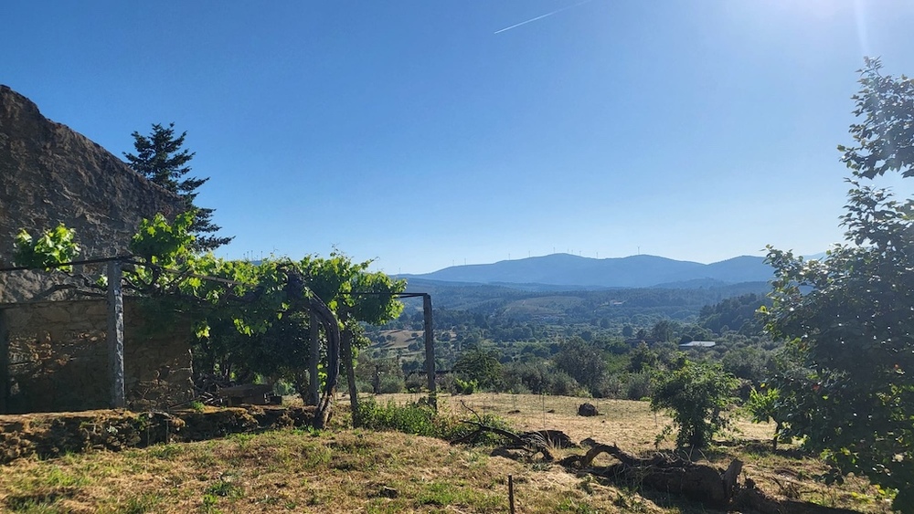 photo 2025 01 03 07 22 57 2