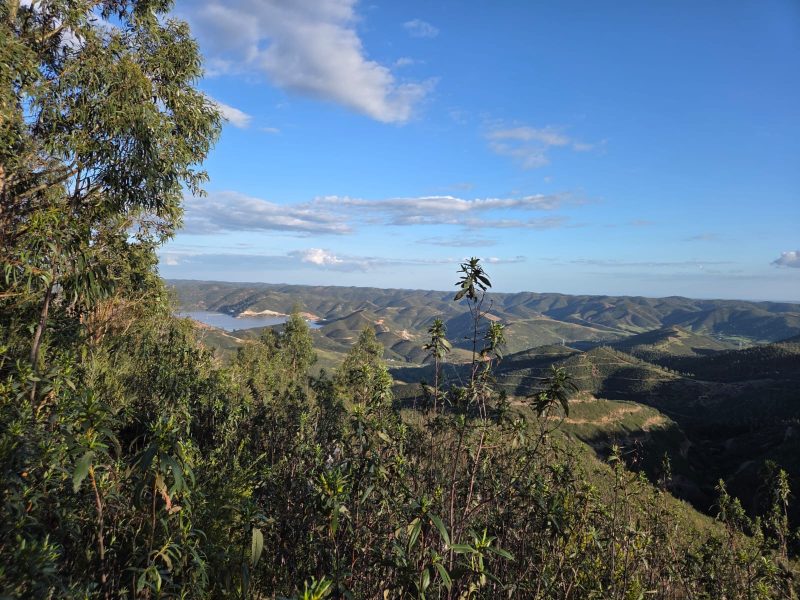 0328e88a-66ee-4dc0-9cb8-bd4cca8996d3