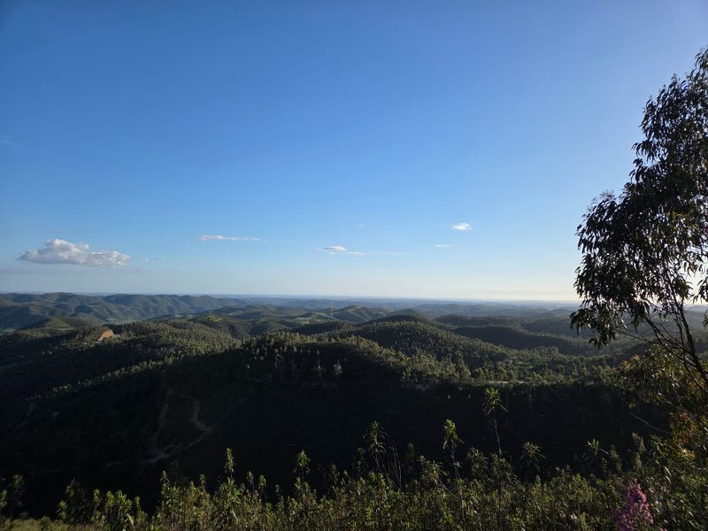 20482ff2-af2b-41f3-b33e-0e24fb4bbbcb