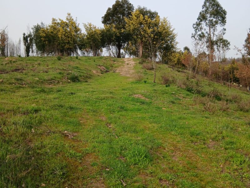 8b5934f0-0db5-4a79-ad7c-41a69ca67011