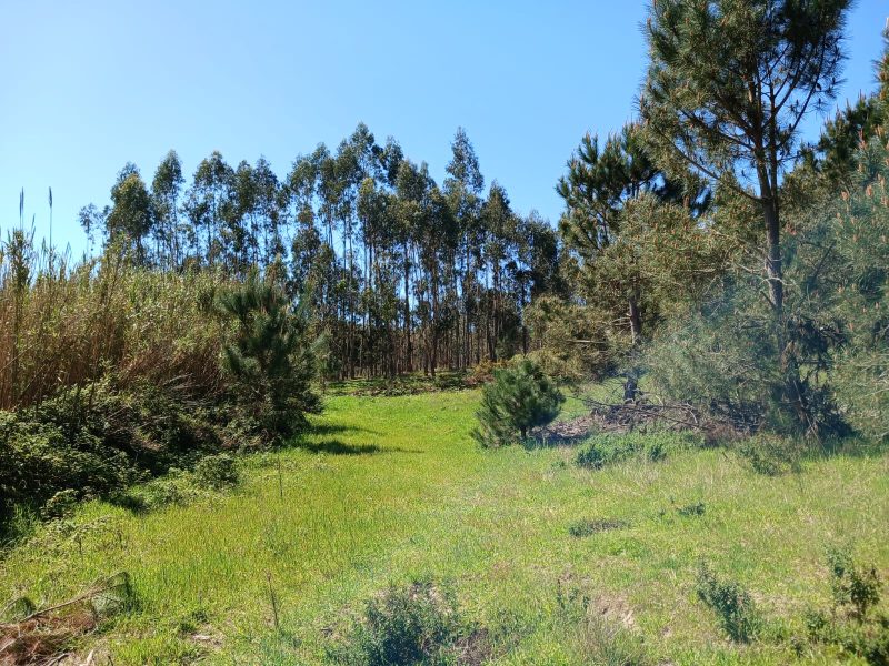 WhatsApp Image 2026-03-17 at 12.19.53 (1)