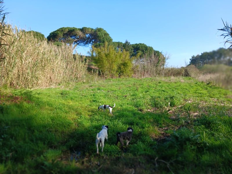 WhatsApp Image 2026-03-17 at 12.24.47