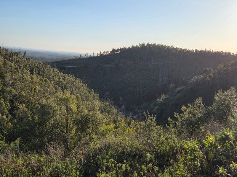 WhatsApp Image 2026-03-18 at 09.54.23 (2)